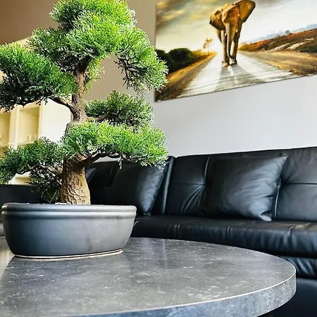 Spacious & Stylish In - Supercentral