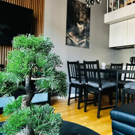 Apartment Spacious & Stylish In - Supercentral Oslo